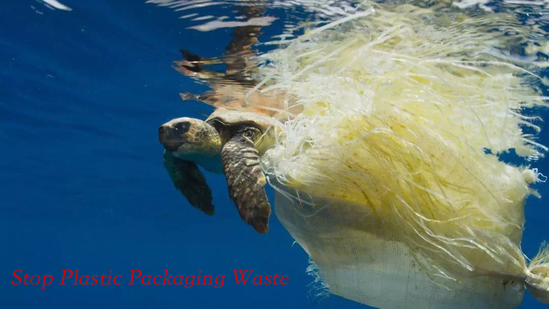 Environmentally friendly Alternatives To Plastic Packaging