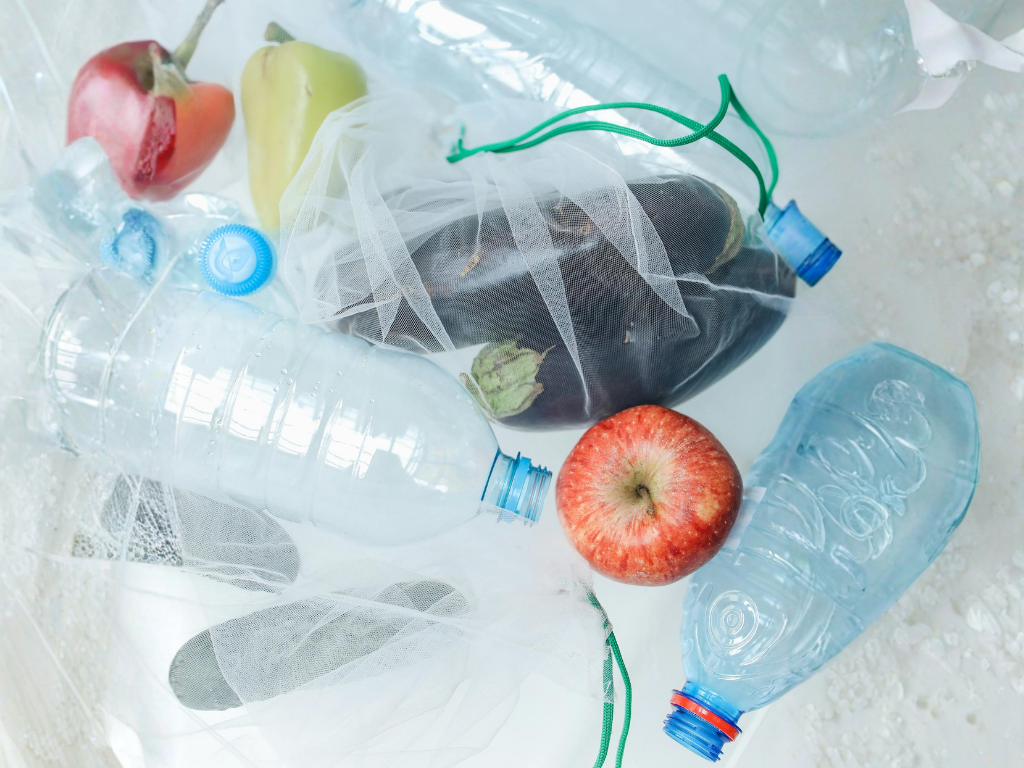 The Hidden Dangers of Plastics
