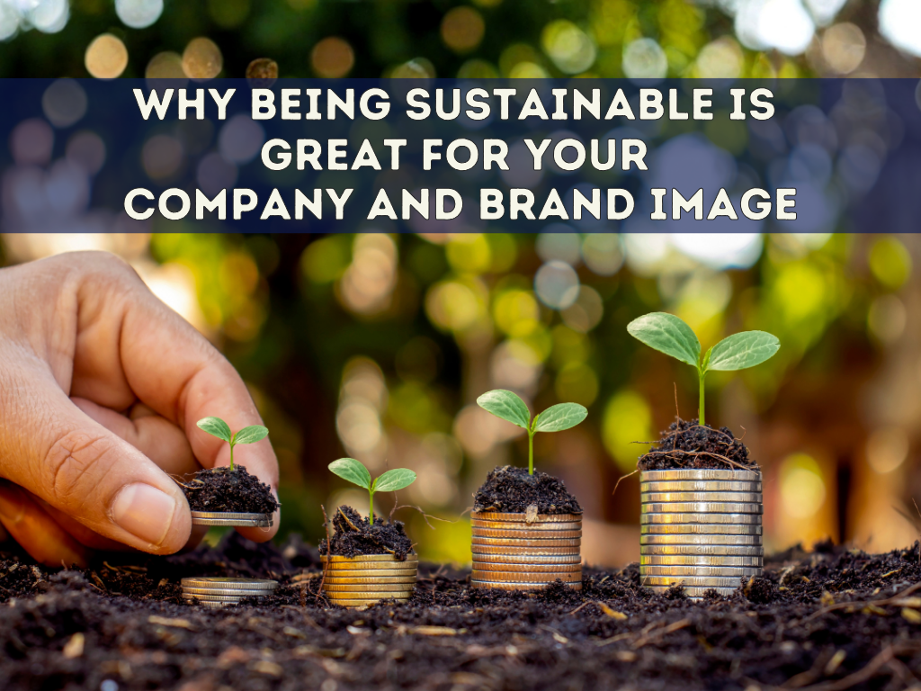 Why Being Sustainable is Great for Your Company and Brand Image