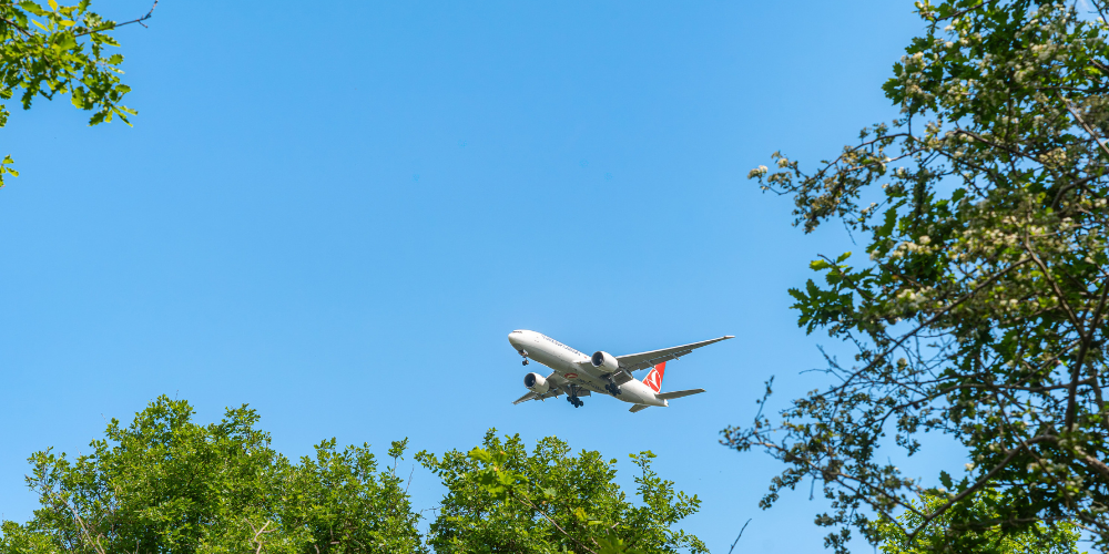 Eco-friendly-Flight