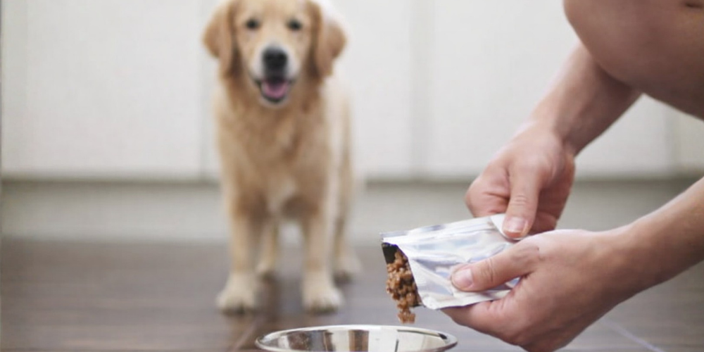 pet-food-packaging